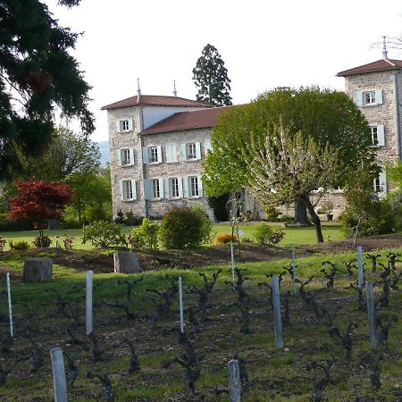 Chateau De Grandmont Chambres D'Hotes Blacé Esterno foto